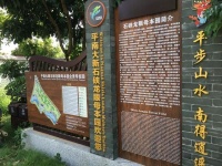 平南珍宝录：石硖龙眼母本园，竟能完整保存百年古树群