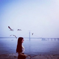 我需要，最狂的风，和最静的海