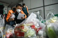 专家认为：民族文化助中韩等亚洲国家有效抗疫