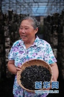 【幸福花开新边疆】记者手记：“下单”呼伦贝尔