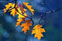 扛不住的时候，读一读这四句话