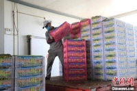 新疆兵团第十二师多举措打开果蔬销路 解种植户销售难题