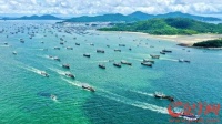 来南海（阳江）开渔节看丰收开渔