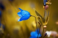 “人品好坏，尽在细节”：身边有这四个行为的朋友，请尽早远离