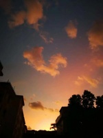 周记：相信淤泥里会开出花来