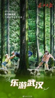 乐游武汉 | 海报图集
