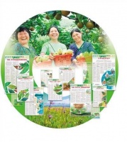 中国的“颜值”与“气质”