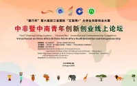 中非暨中南青年创新创业线上论坛举行