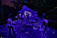 天黑了，来北京玉渊潭体验沉浸式光影艺术吧