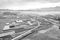 网络作家，是否也需要“文学的故乡”｜文学自由谈