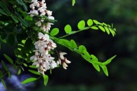 情感励志：每天给自己留出一点时间来思考，留出一点空间来梦想