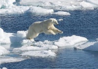 科学家在南极冰川下发现一个巨型空洞，可容纳百亿吨冰，已经融化