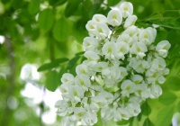 情感经验：口才是一生的财富，事业的成功与否离不开你的口才