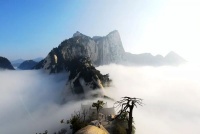 当代风水名家——柏宽论风水骑龙格