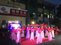 武陵区长庚街道杨桥社区开展“我们的节日——爱在七夕”主题活动