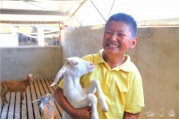 【走向我们的小康生活】唐根根：赶着羊儿脱贫致富奔小康