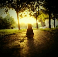 情感励志：把旧的习惯旧的传统抛弃，使我们可以重新飞翔