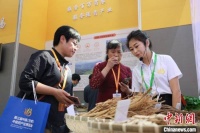 甘肃挖掘传统医学特色优势：讲中医故事 传国之文化