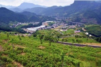 念好“山”字经，神工“核雕”雕出富民文章