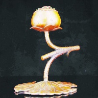 嵌宝铜熏结莲蓬