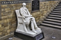 “黑命贵”这把火，烧到了“达尔文”身上