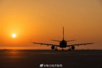 国际航协：疫情将致航空业全年损失4190亿美元