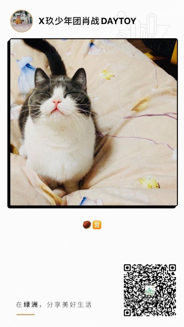 肖战绿洲晒宠物“坚果”