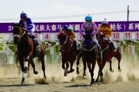 大陆赛马网：木垒赛马19日重启！复工复产“一马当先”，新疆逐步回归常态！