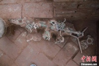 东汉时期青铜“摇钱树”被成功修复