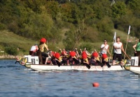 维也纳：多瑙河边赛龙舟