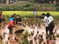 捉鱼、直播带货、土家宴……央视“走村直播看脱贫”走进永顺科皮村