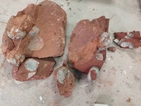 广东河源施工山坡发现恐龙蛋化石！共抢救性发掘出33枚