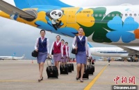 “进博会”主题彩绘飞机正式亮相并成功首航