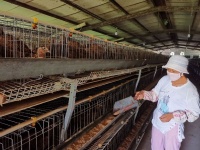 带动扶贫的“金融力量”