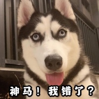 40秒如何写出吸粉千万的剧本 | 短鱼儿专访大G