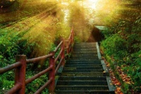 读睡每日好诗《承诺》