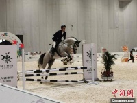 2020中国年青马大赛河北安平开赛  奥运骑手携4匹马参战助威
