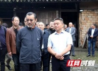 中国国学研究与文化交流中心为邹汉勋文物保护支招