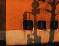 属于你的限量版文案，难免世俗，你要活得像自己。