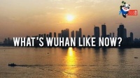 《云游中国》直播节目即将上线 首期聚焦疫情后的武汉