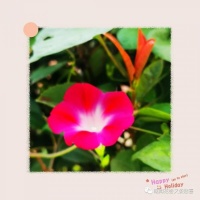 利萍：悦享生命中的每一寸静美时光｜美文阅读