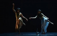 金星舞蹈团 | 体验这台“马拉松”一样的现代舞，发现开在你心中的“野花”