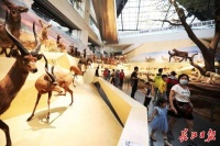 国庆打卡博物馆 | 图集