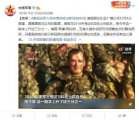 美媒：美现役军人自杀增多或与新冠有关