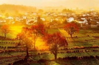 闲说“寒露”，清秋寒露时节