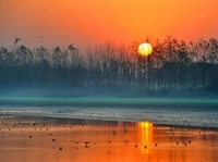 马东旭散文诗：观宁陵四湖有感｜中原作家