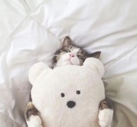 关于那3个让我脱了层皮IT内定｜那些就职冰河期里的故事