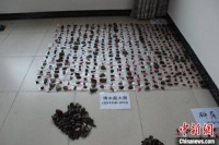 贵州洞穴遗址考古新成果：首次用古DNA研究解码人类迁徙