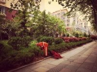 致敬，城市“美容师”！（诗歌）