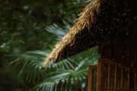 庄子：心斋与坐忘，两种重要的修养方法